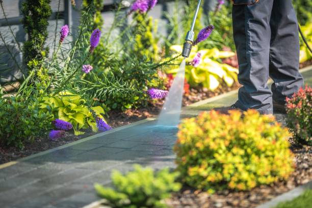 Professional Pressure Washing in Kaser, NY